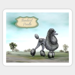 Black Standard Poodle. Sticker